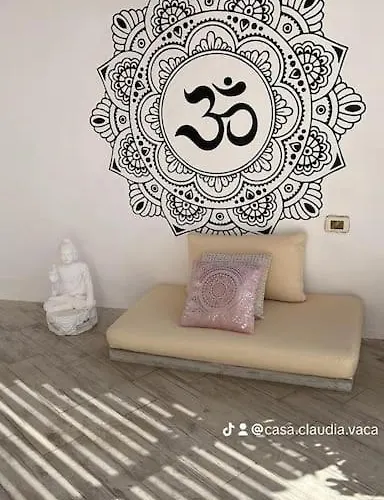 펜션 Casa Claudia Radazul *